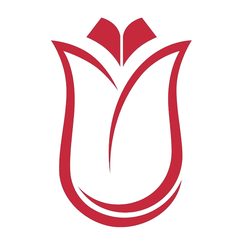 turkiya burslari logo image